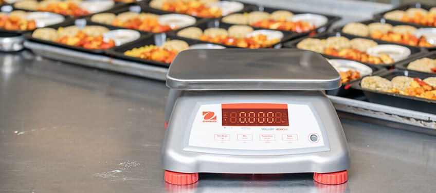 Food Scales