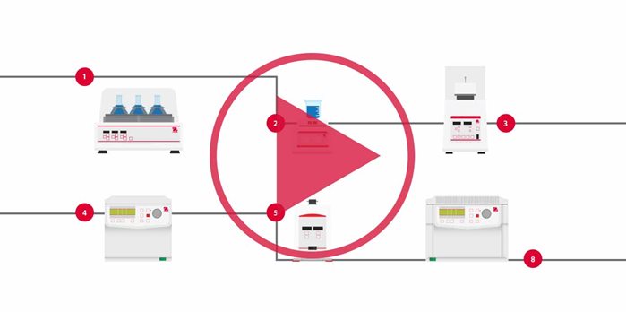 Protein Purification Workflow EU